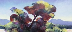 Camelthorn - Kalaghadi | 2022 | Oil on Canvas | 36 x 51 cm